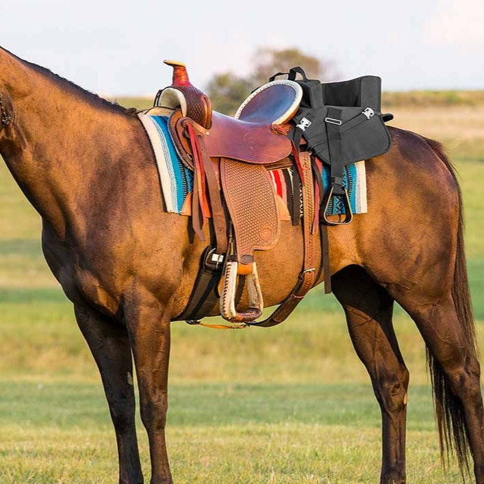 Horse Accessories