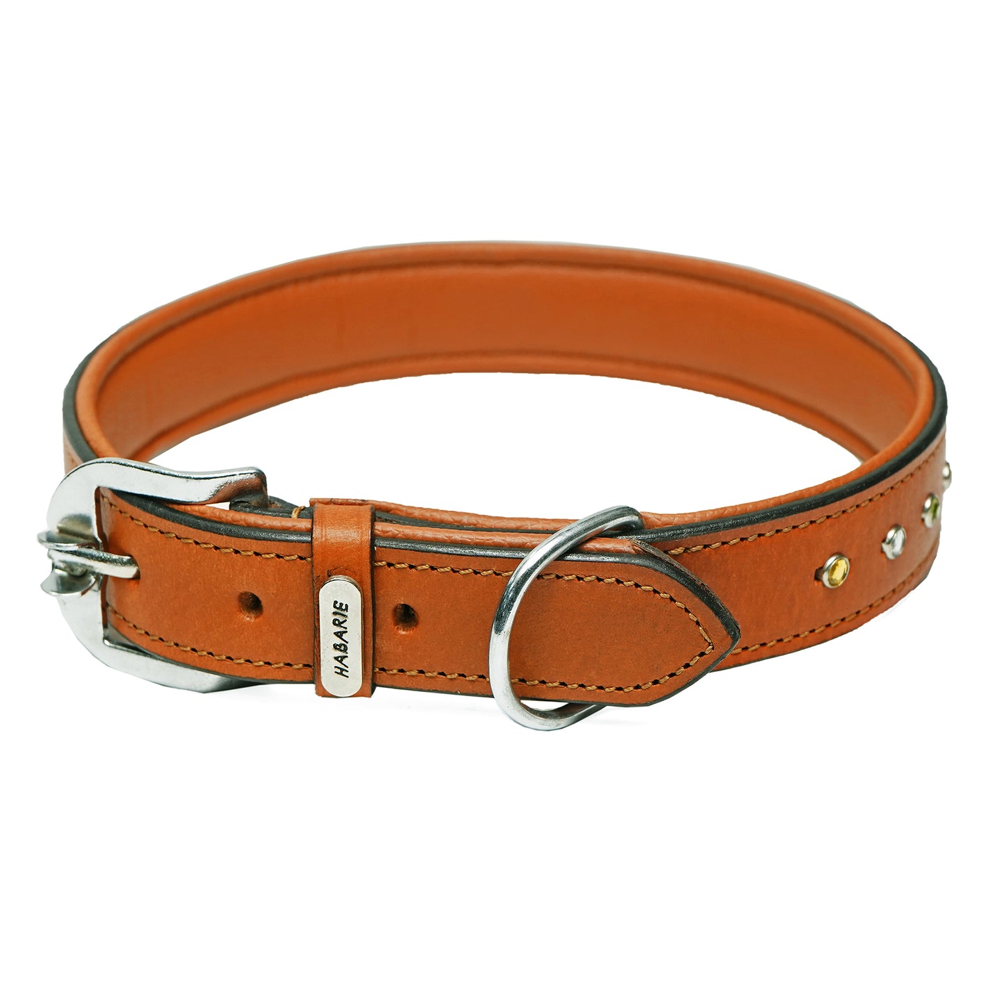 Dog Collar D5 915 (22 inches)