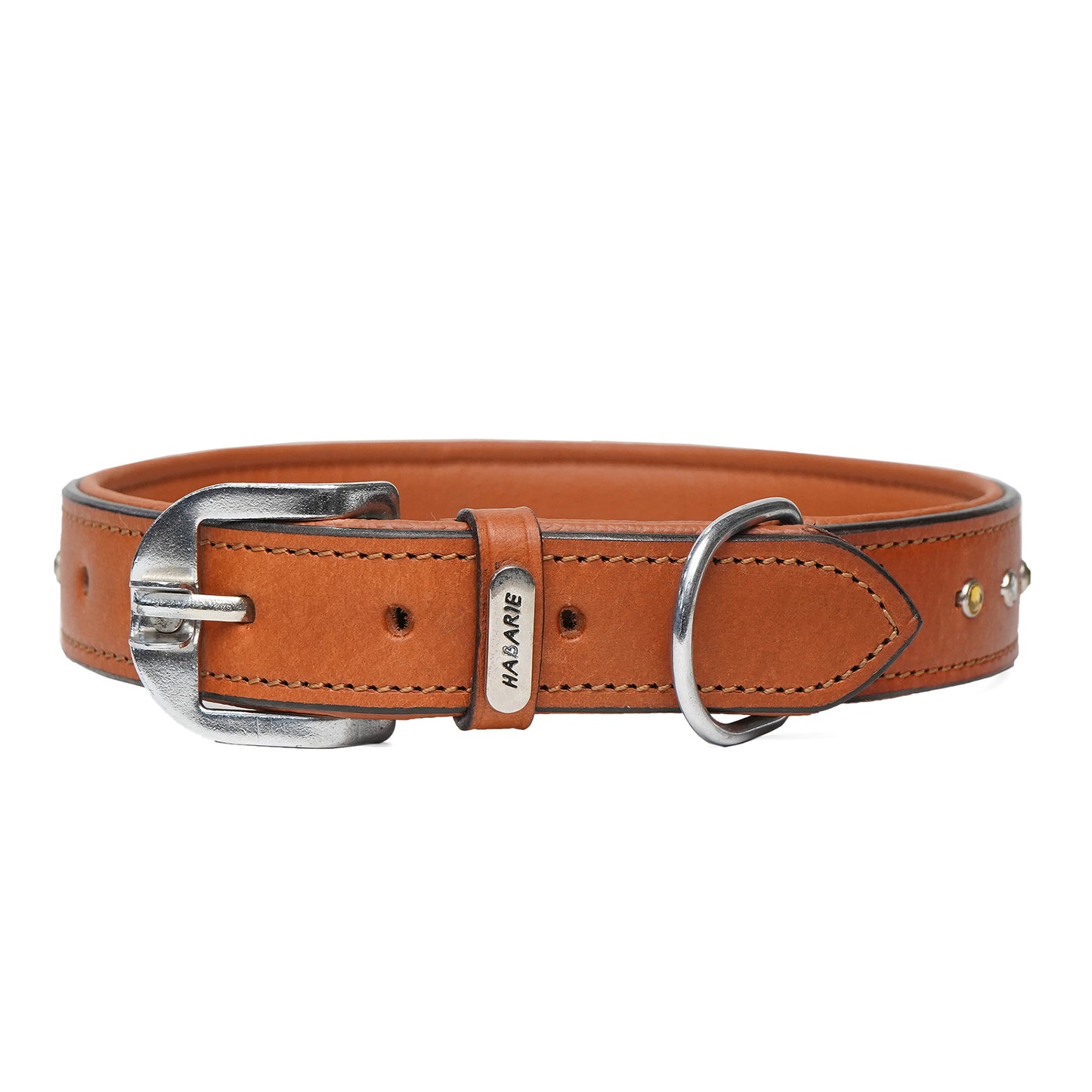 Dog Collar D5 915 (22 inches)