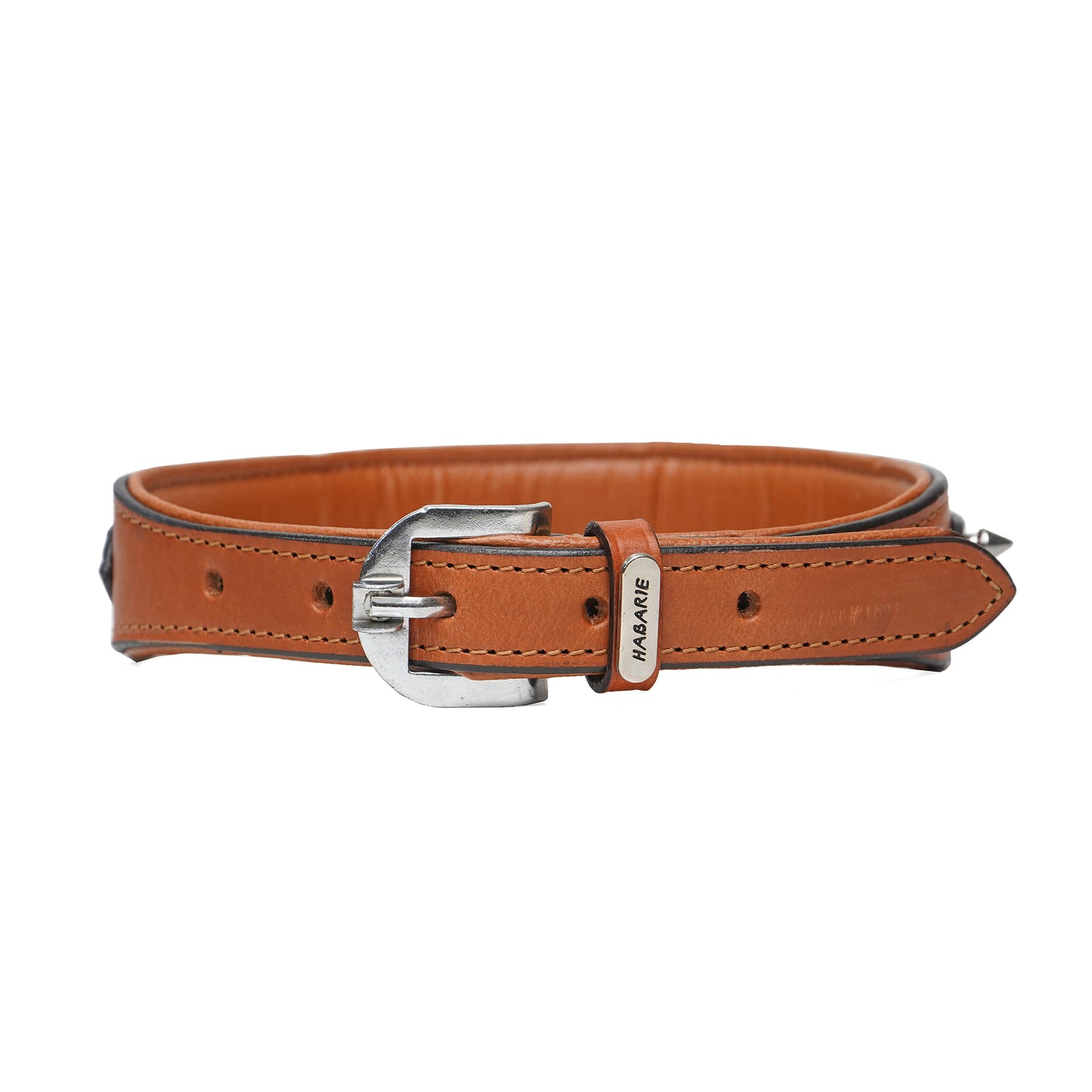 Dog Collar D2 912 (20-24 inches)