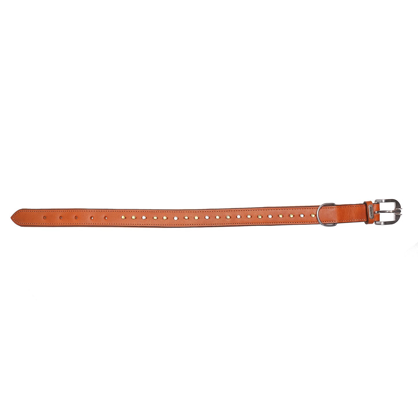 Dog Collar D5 915 (22 inches)