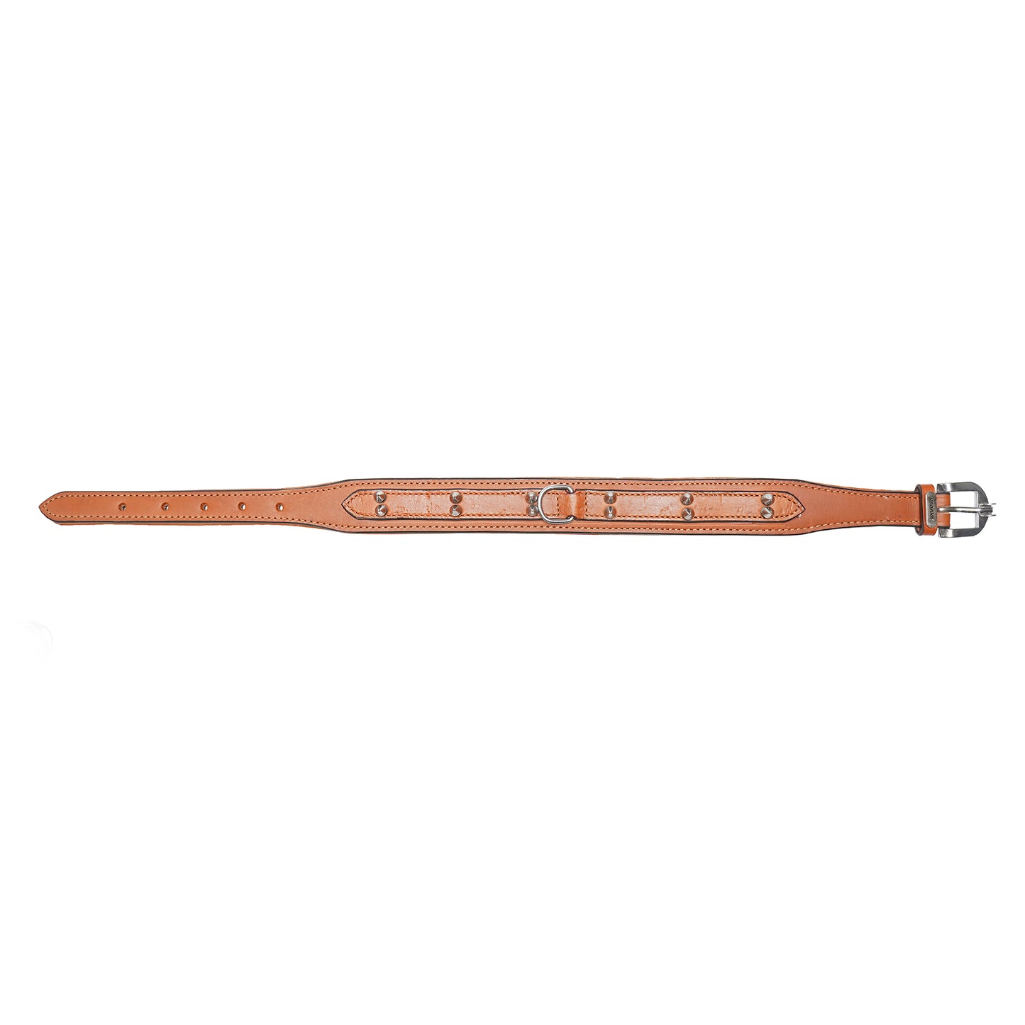 Dog Collar D2 912 (20-24 inches)