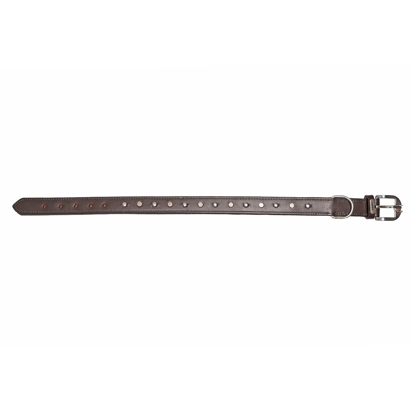Dog Collar D4 914 (20-24 inches)