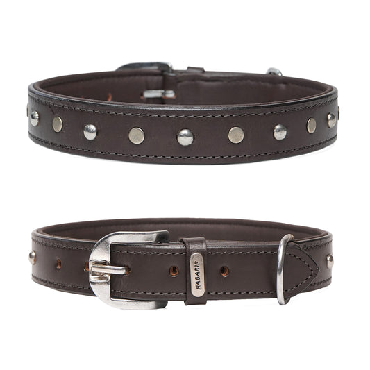 Dog Collar D4 914 (20-24 inches)