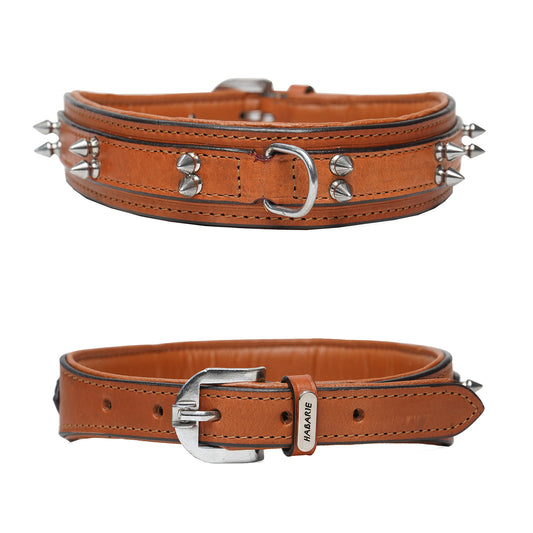 Dog Collar D2 912 (20-24 inches)