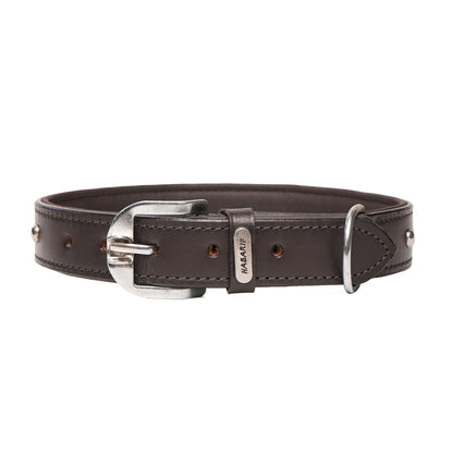 Dog Collar D4 914 (20-24 inches)